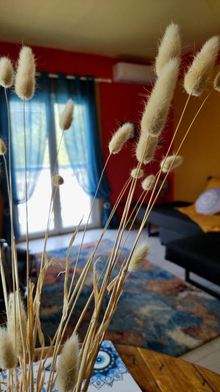 foto23