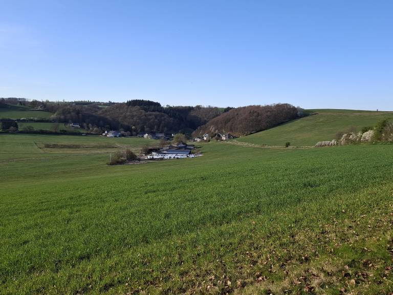 foto5
