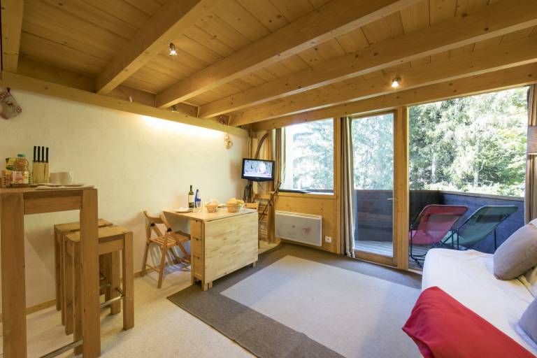 Apartment Chamonix