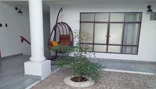 foto13