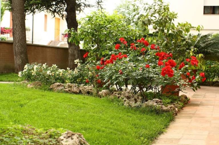 Bed & Breakfast  Scandiano