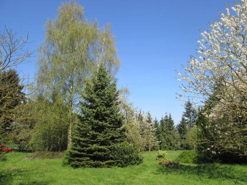 foto16
