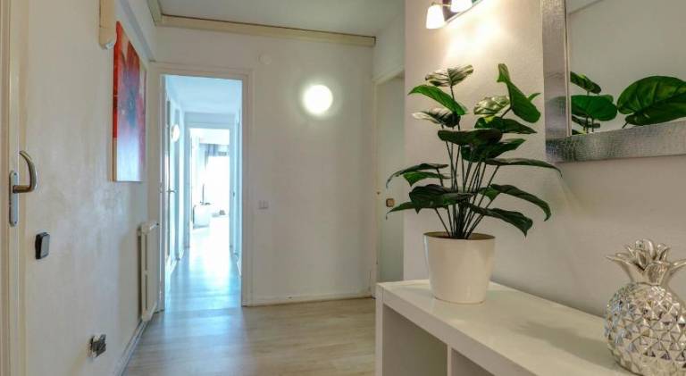 Fully equipped rental apartment with terrace | Next to the beach | Pet-friendly — photo 4