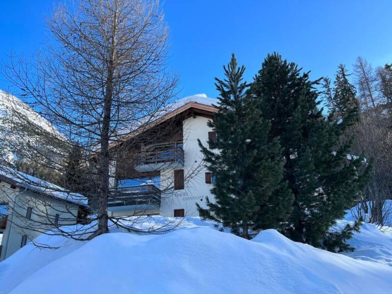 Ferienwohnung mit Hund in La Punt f&uuml;r max. 4 Personen