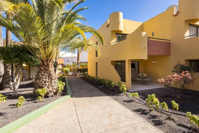 Apartamento  Corralejo