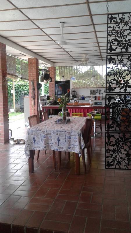 foto6