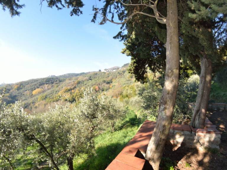 House with garden, terrace & barbeque — photo 5