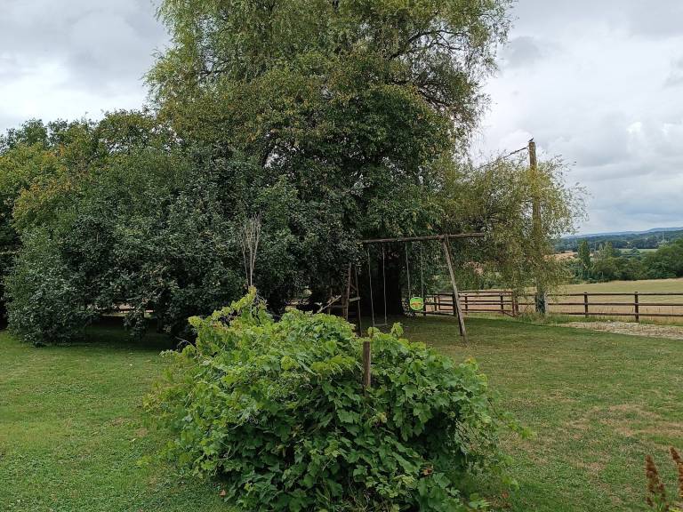 foto6