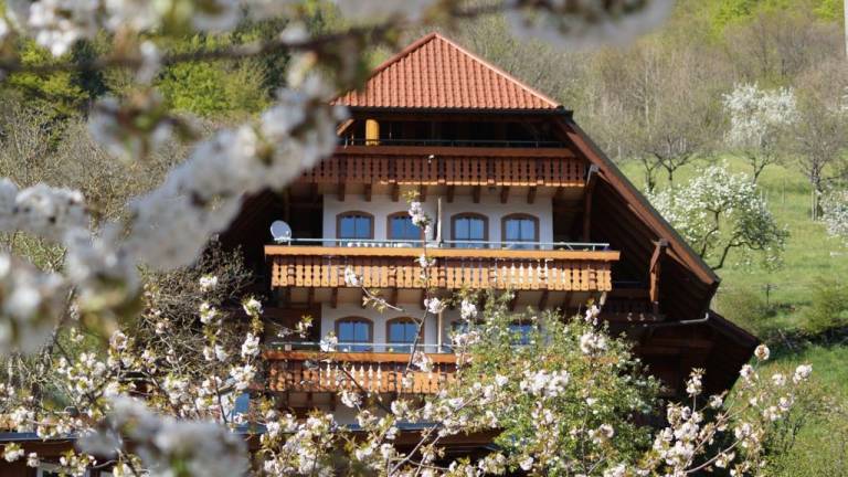 Ferienwohnung Bad Peterstal-Griesbach