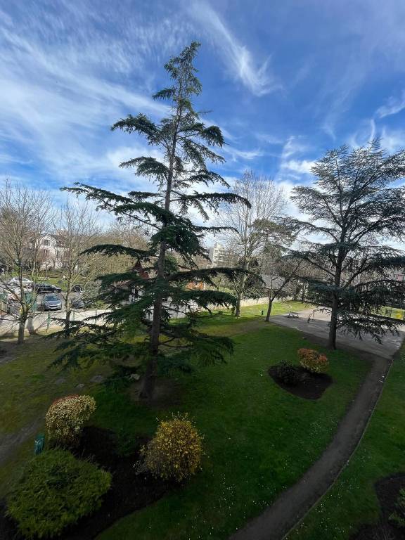 foto16