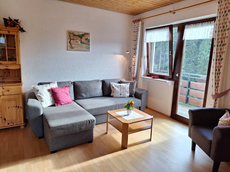 Child-friendly rental apartment with yard, BBQ & fast internet | Garden view | Pet-friendly in Oppenau