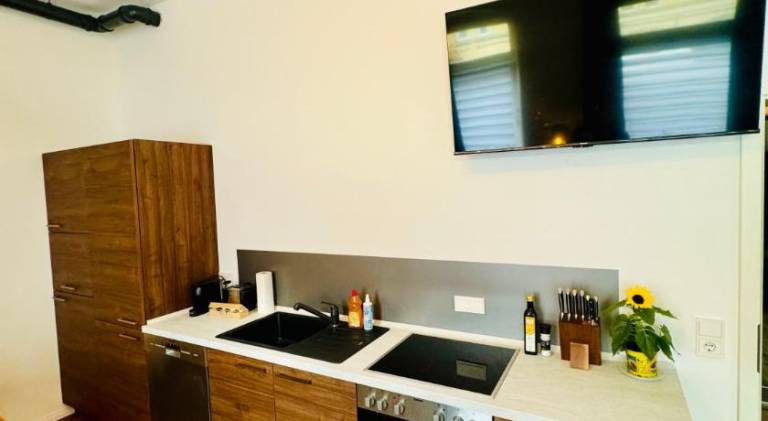 Apartment with 2 rooms for 7 persons — photo 4