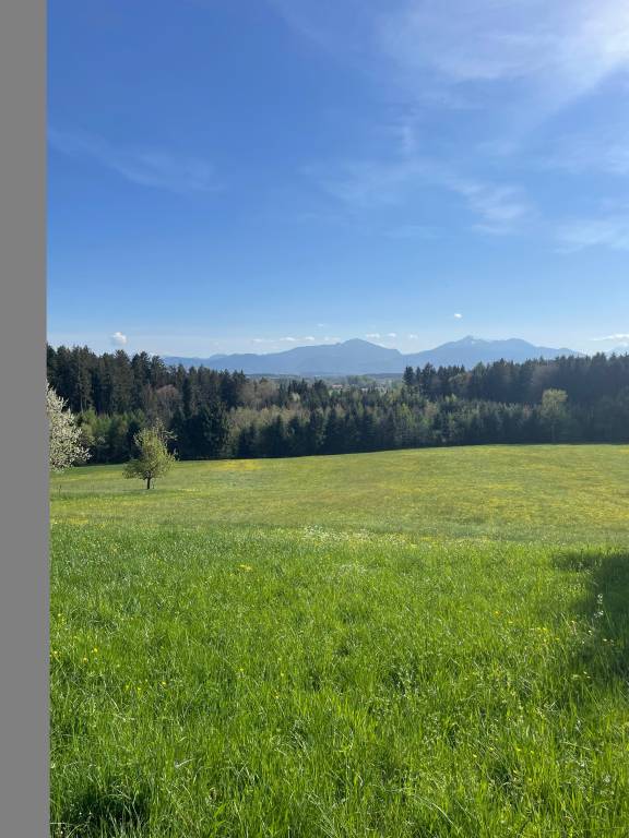foto11