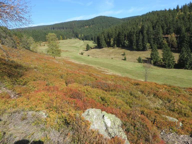 foto11