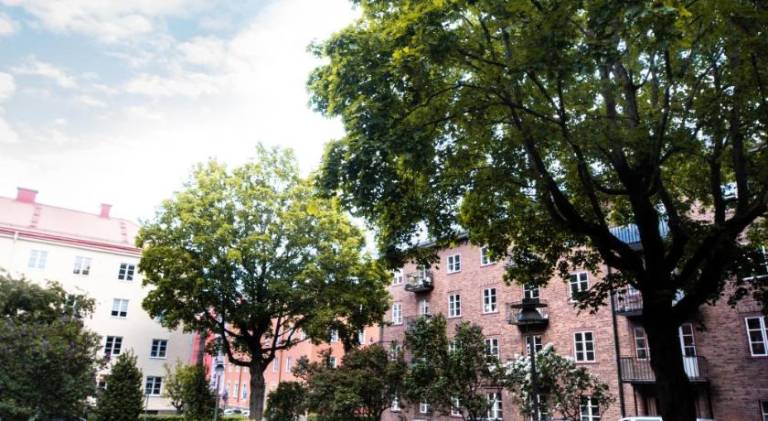 Apartment with 2 rooms for 8 persons — photo 4