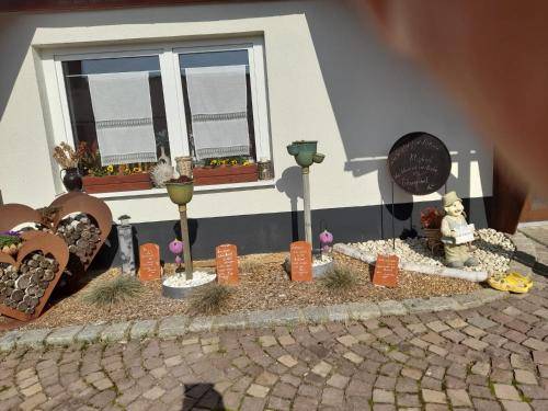 foto13