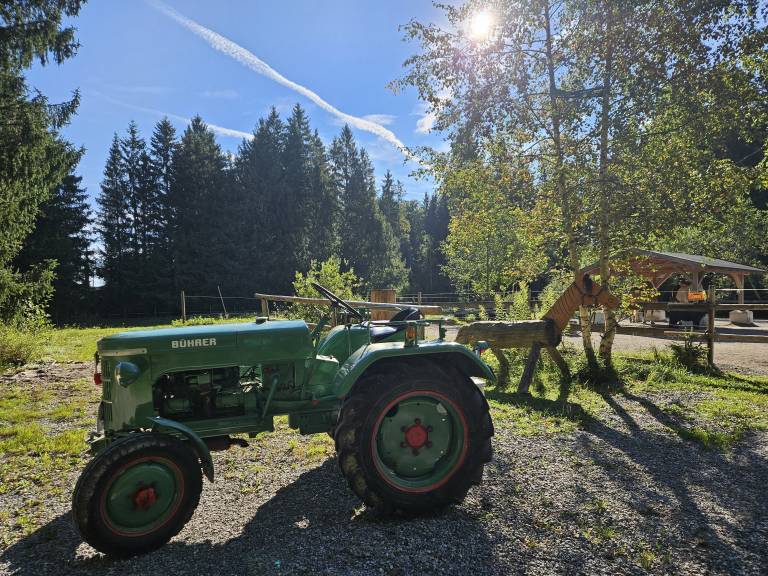foto20