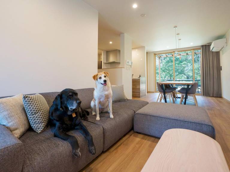 House with sauna & yard | Close to Tobu World Square | Pets allowed — photo 5