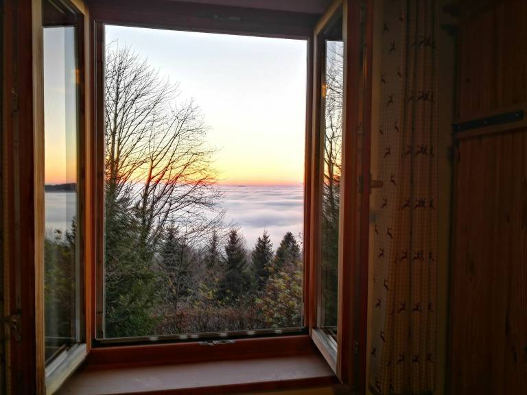 foto29