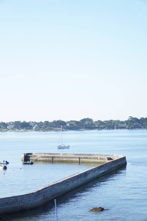 Studio | Beach view | Pets allowed — photo 5
