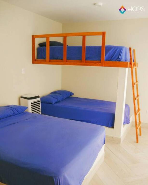 foto6