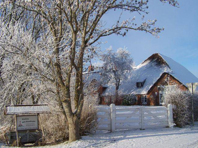 foto14