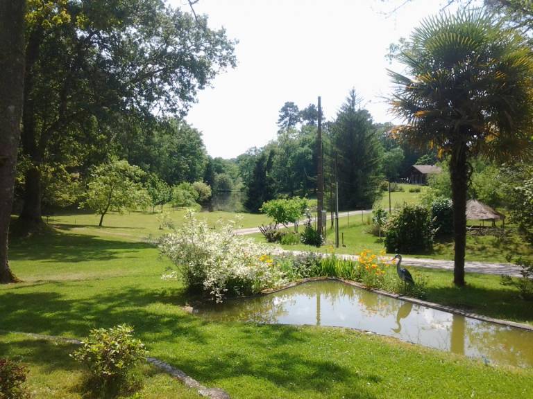 foto12