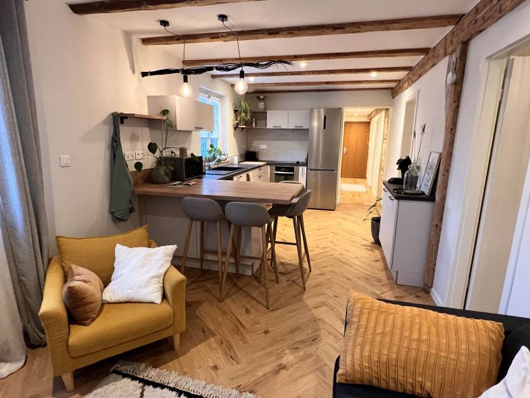 Appartement Vendenheim