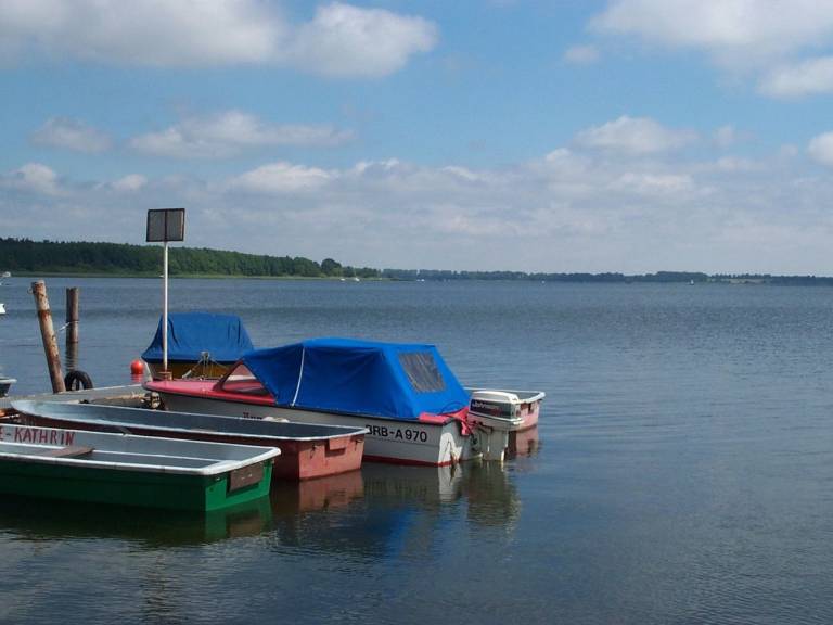 foto11