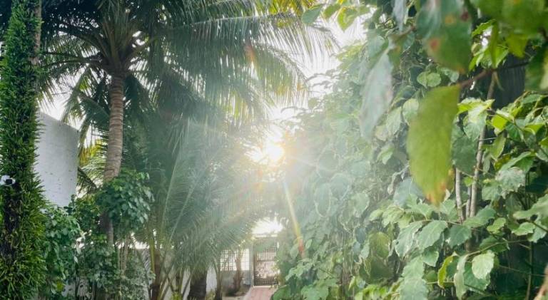 foto15