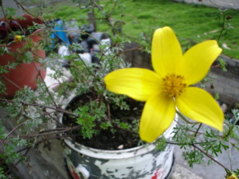 foto6