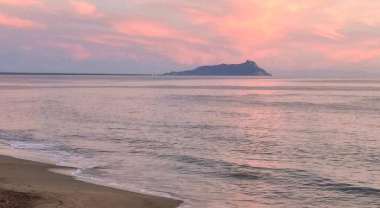 Pleasant apartment | Next to the beach | Pets allowed in Latina