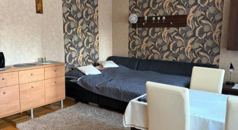 Lovely holiday apartment | Pets allowed in Lódz