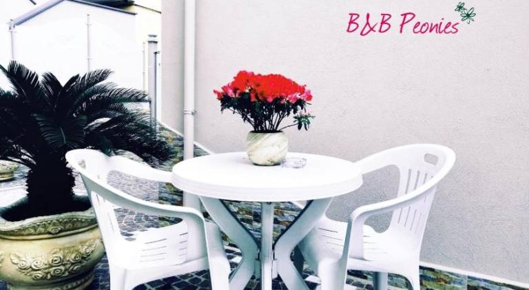 B&B Peonies — photo 2