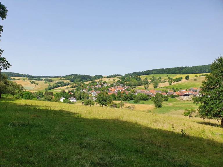 foto11