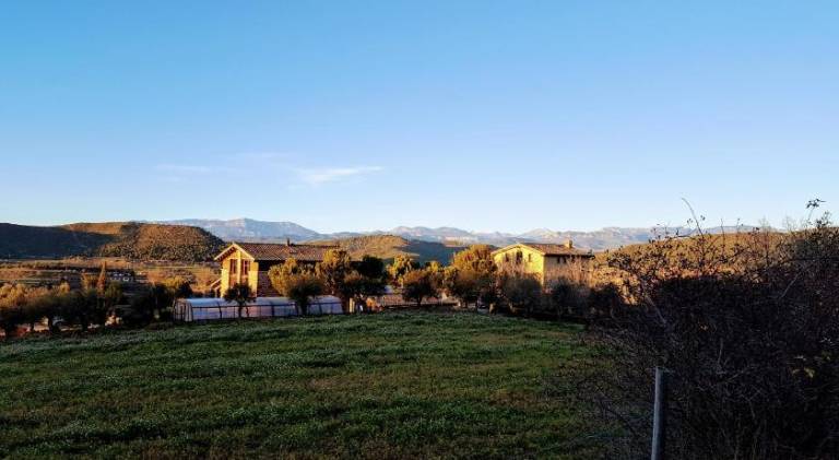 foto46