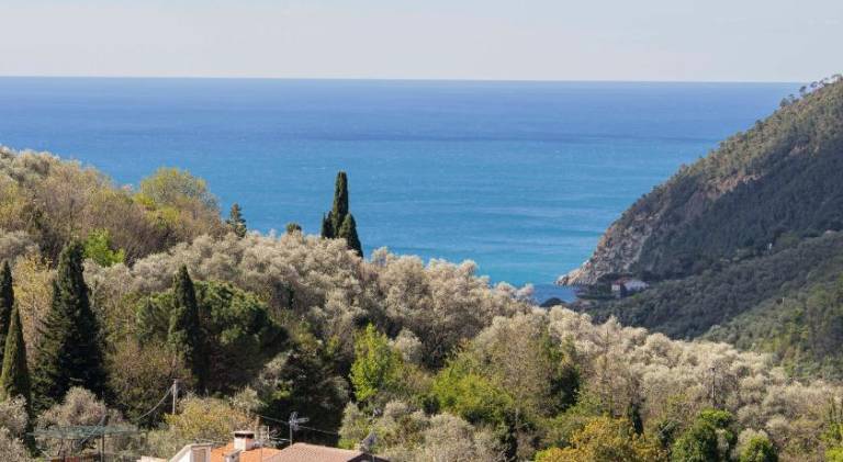 Holiday apartment with yard & terrace in Moneglia