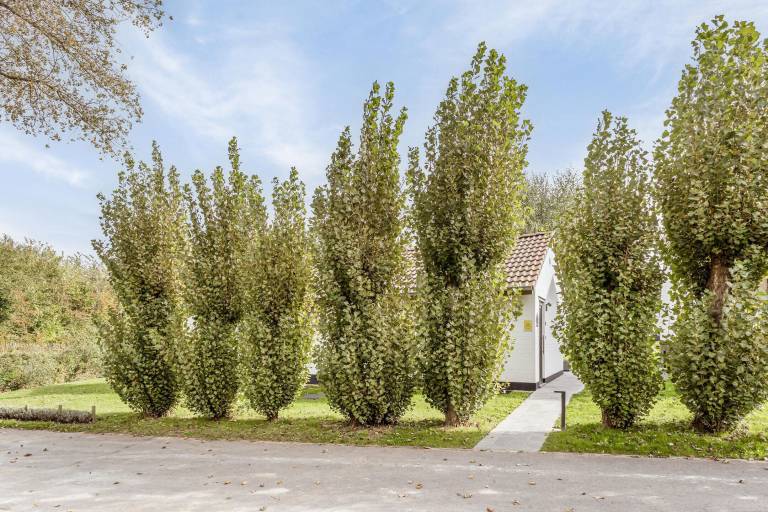 Maison de vacances Bailleul