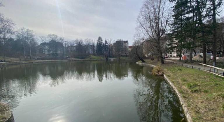 foto19