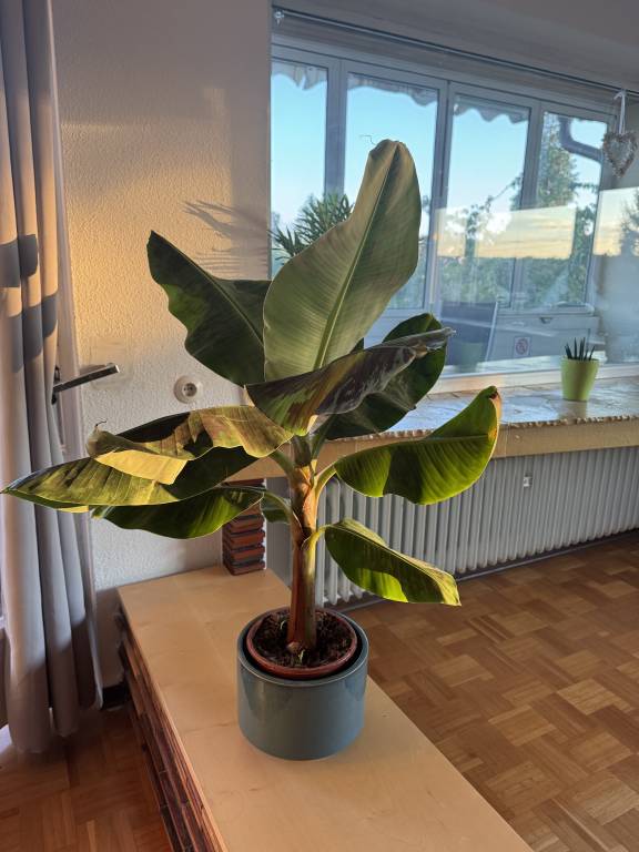 foto11