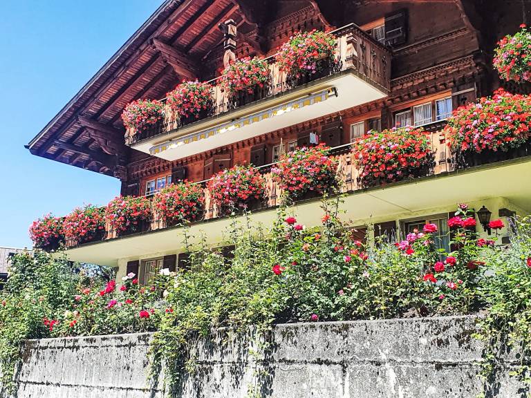 Apartment  Grindelwald