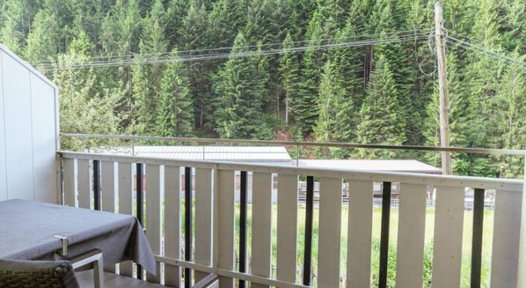 Rental apartment with garden & patio — photo 4