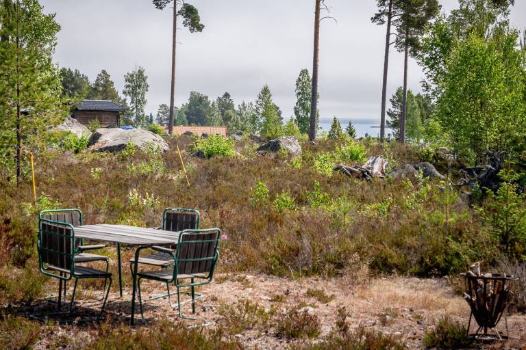 Charming vacation home with patio, yard & barbeque | Pets are welcome — photo 3