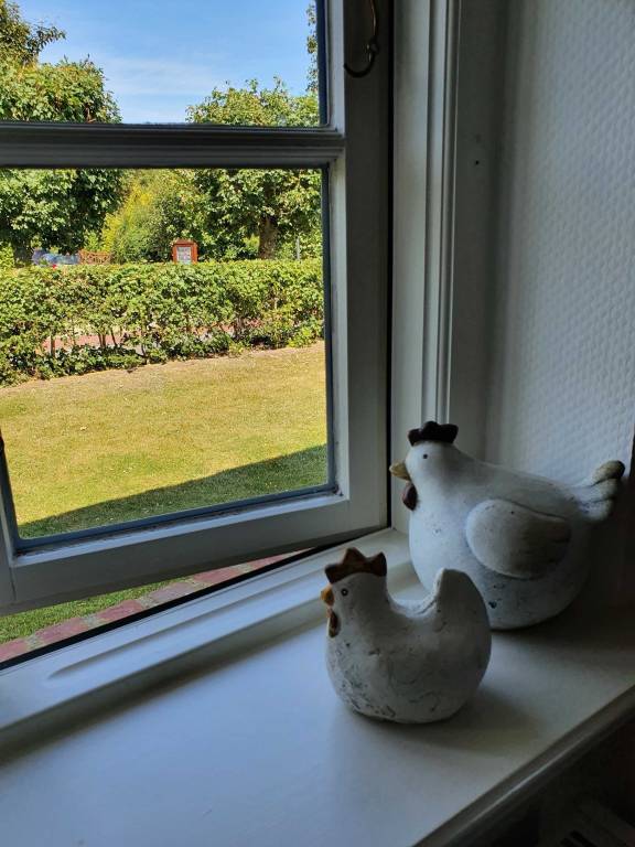foto14