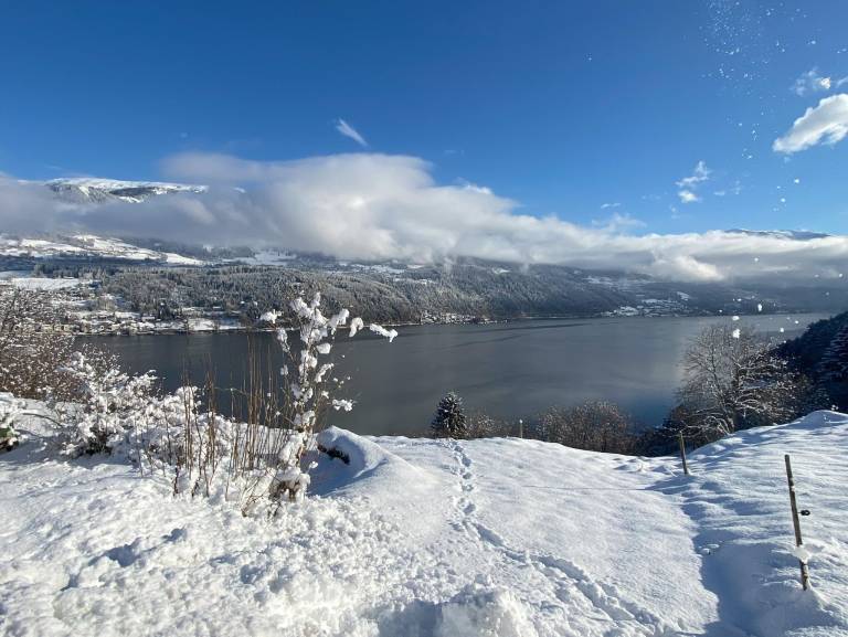 Chalet Millstätter See