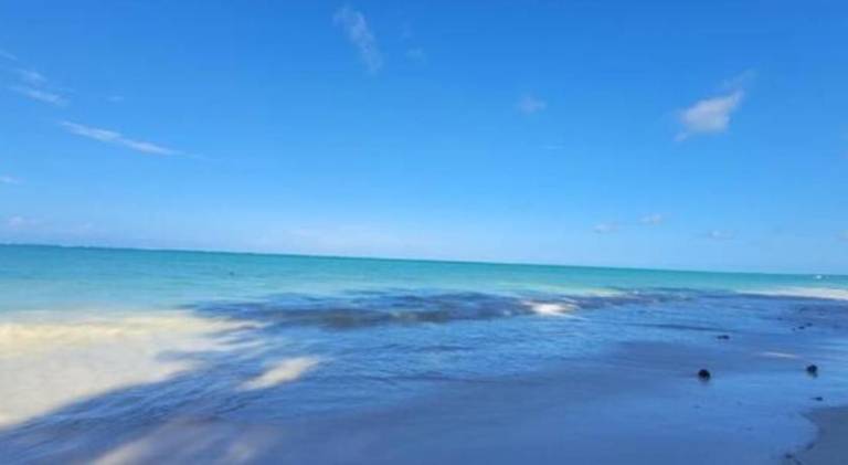 Villa Katerina-Zanzibar paje — photo 4