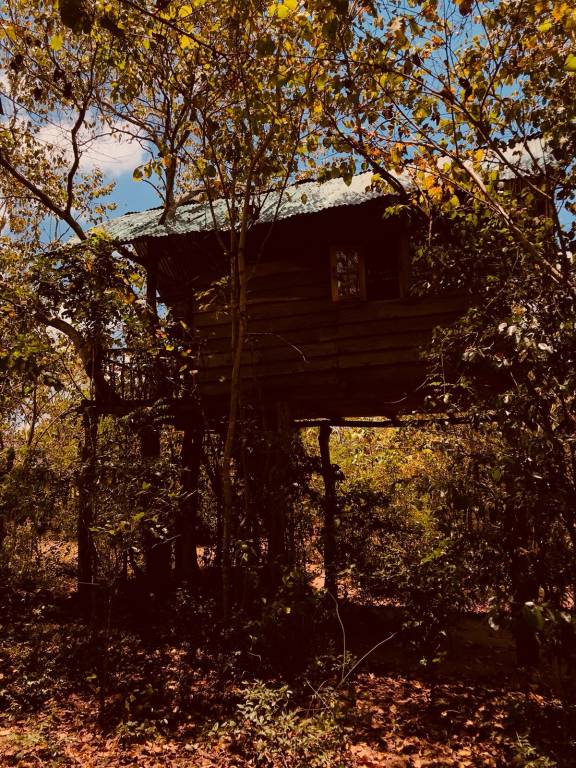 The Jungle paradise ECO Treehouse & Clayhouse — photo 5