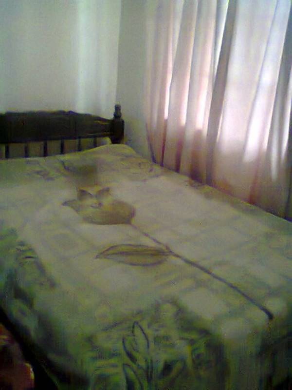 foto0