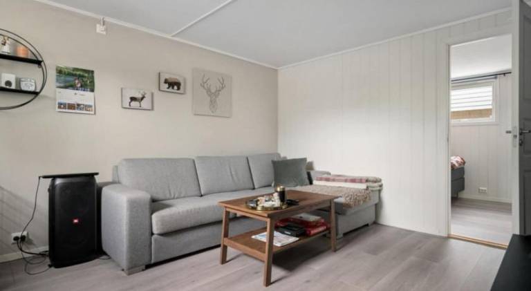 Rental apartment with 1 room for 4 persons in Trondheim