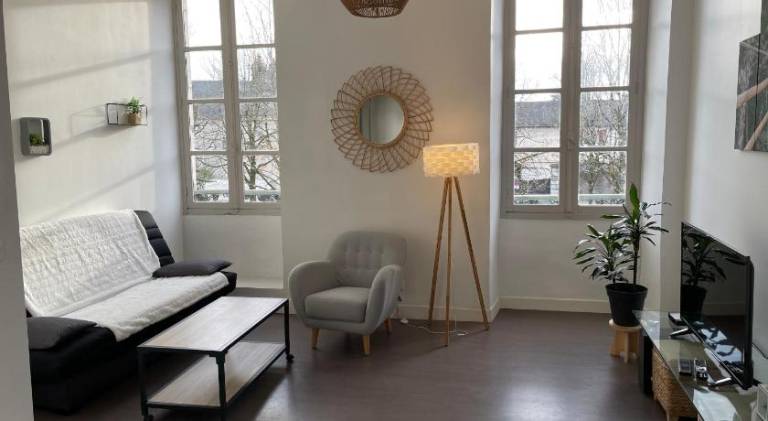 Apartment | Pets are welcome in Pau